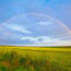 a rainbow over a field of grass