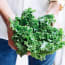 a person holding a bunch of lettuce