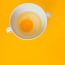 a yolk in a white cup of water