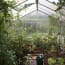 a greenhouse with tomatoes and plants