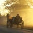 a horse and buggy with a person in a hat