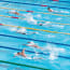 a group of people swimming in a pool