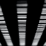 a close up of a barcode