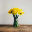 a yellow flowers in a glass jar