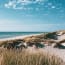 a sandy beach with grass and water