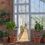 a glass house with plants in pots