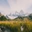 a tall grass and snow covered mountains