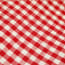 a red and white checkered fabric