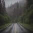 a wet road with trees in the background