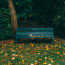 a bench in a park with leaves on the ground