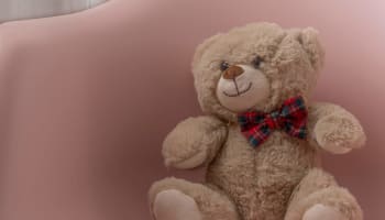 a teddy bear wearing a bow tie