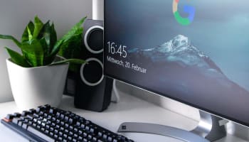 a computer monitor with a keyboard and a plant in front of it