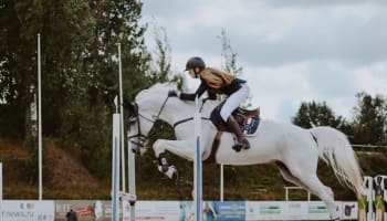 a person riding a horse over a hurdle