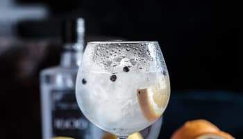 a glass of water with ice and lemon slices