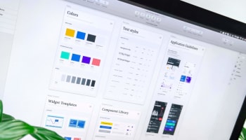 a computer screen with a plant in the background