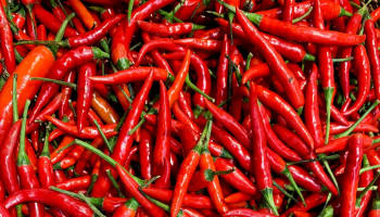 a pile of red peppers