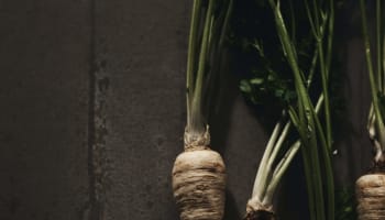 a group of parsnips with green stems