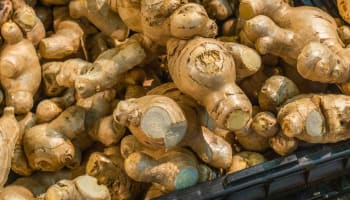 a group of brown ginger root in black bins
