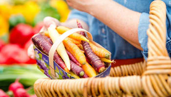 a person holding a basket of carrots
