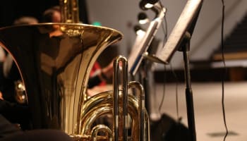 a close up of a horn