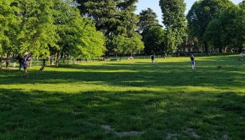 people in a park