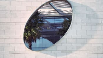 a window with a palm tree in it