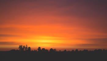 a sunset over a field of trees