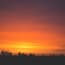 a sunset over a field of trees