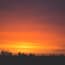 a sunset over a field of trees