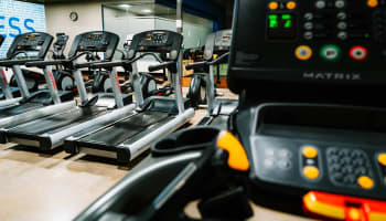 a group of treadmills in a gym