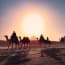 a group of people riding camels in the desert