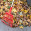 a pile of leaves with a rake