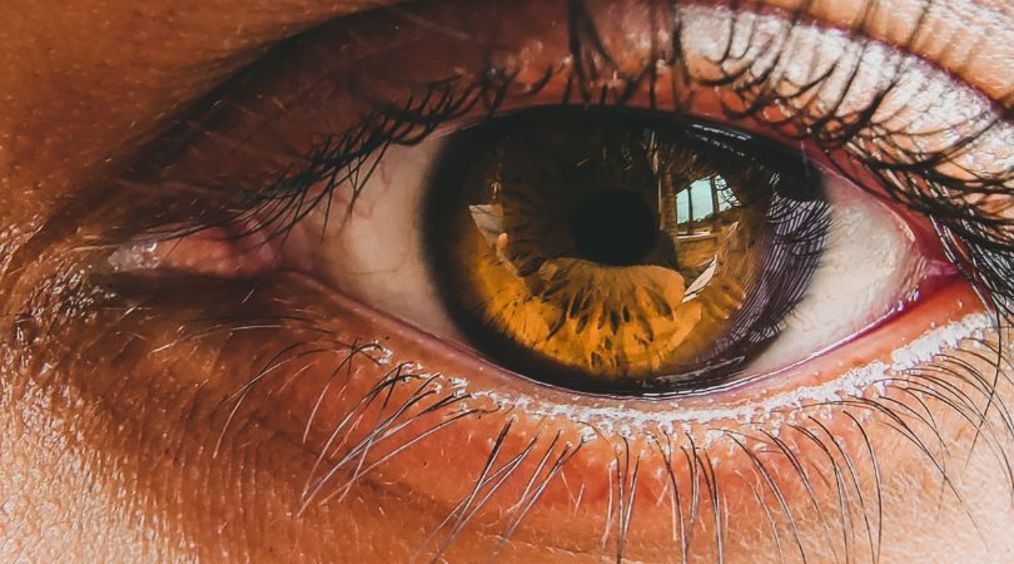 oog