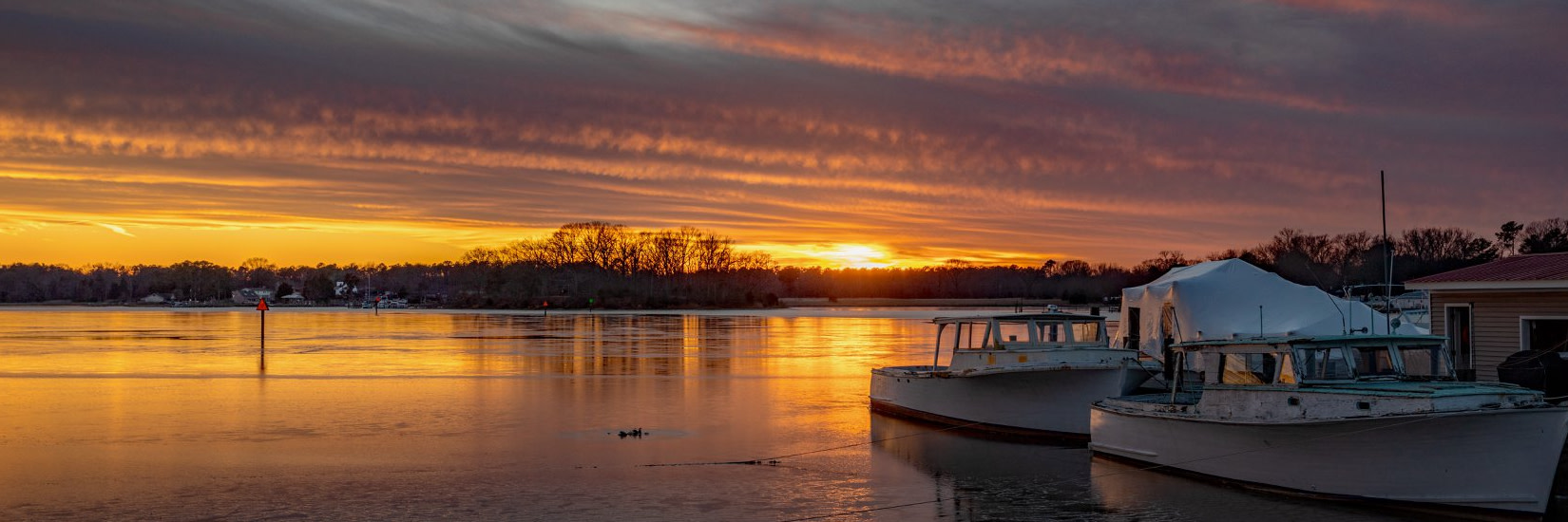 Membership Management Software & Members Database Join It