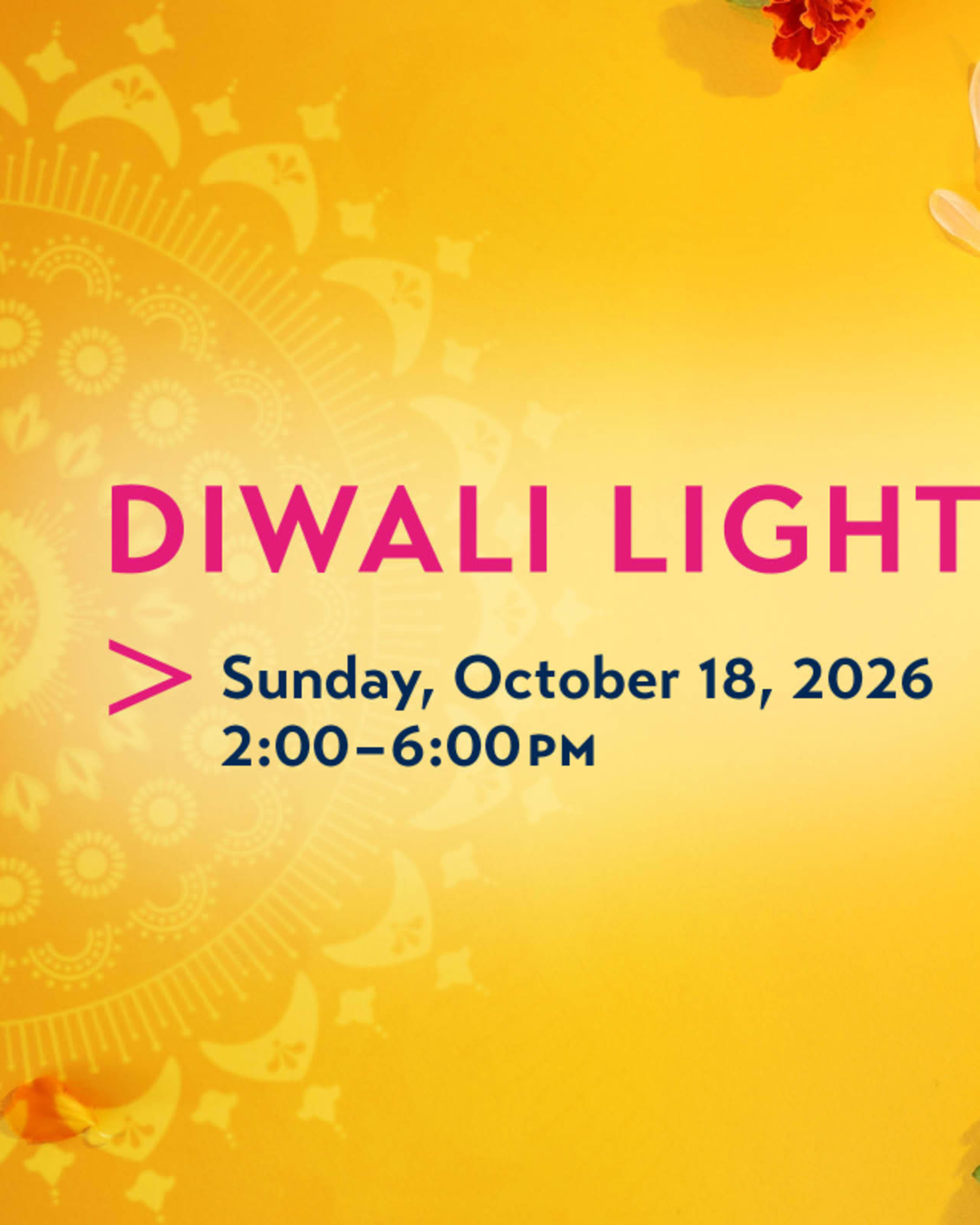 Diwali Lights
