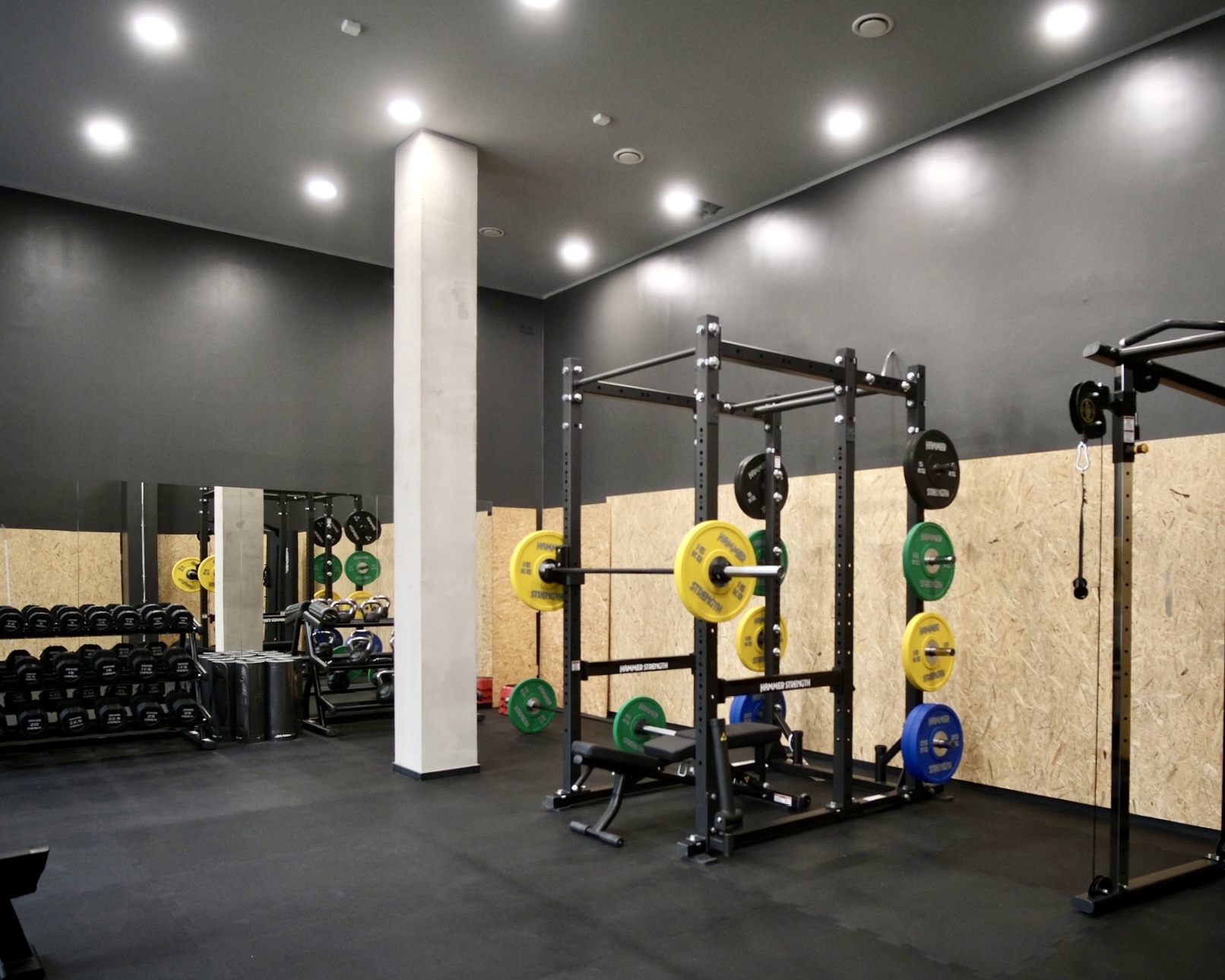 Fitnessstudio-Kniebeugenständer mit Hantelscheiben