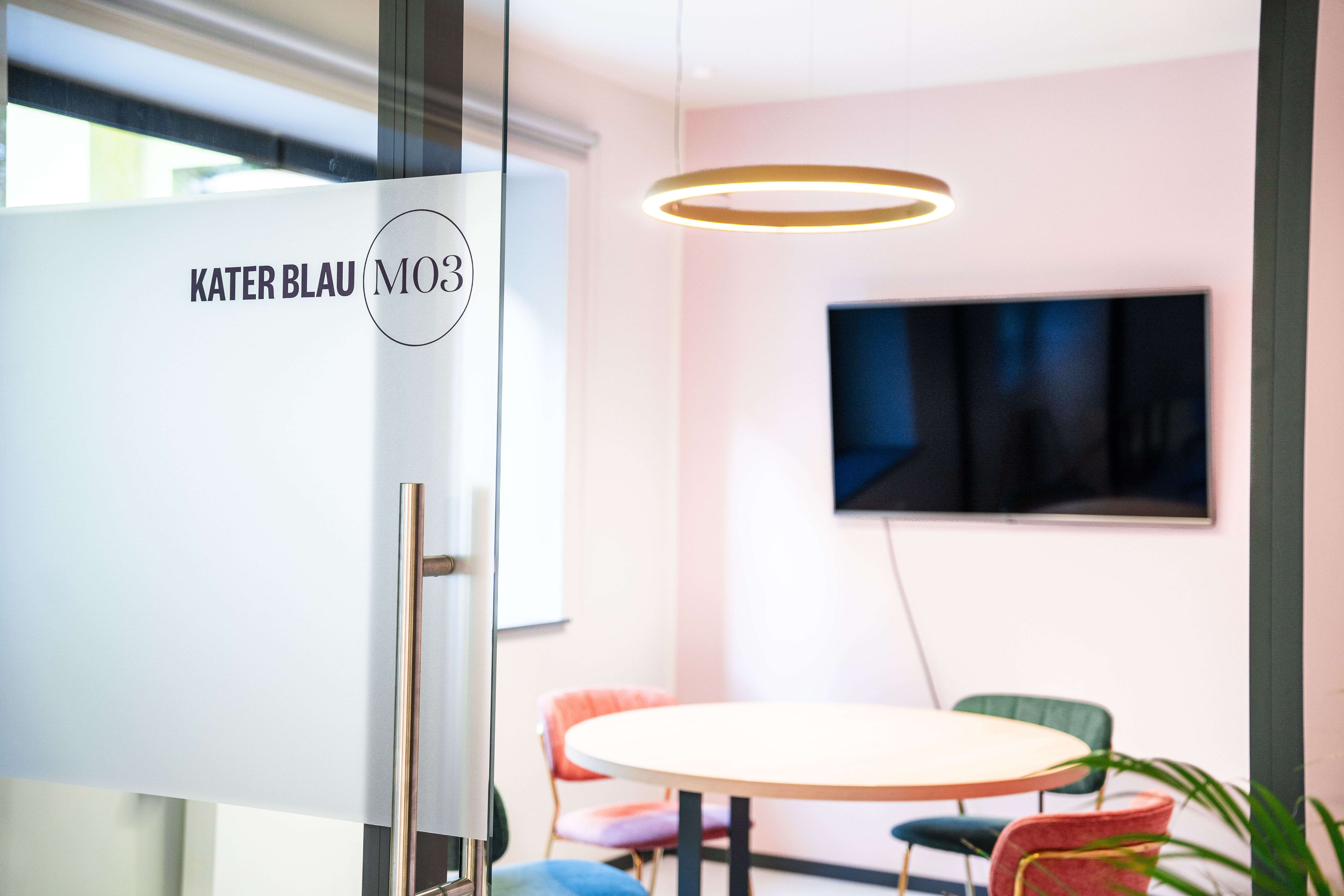 Coworking Raum mit Glastür und Smart TV