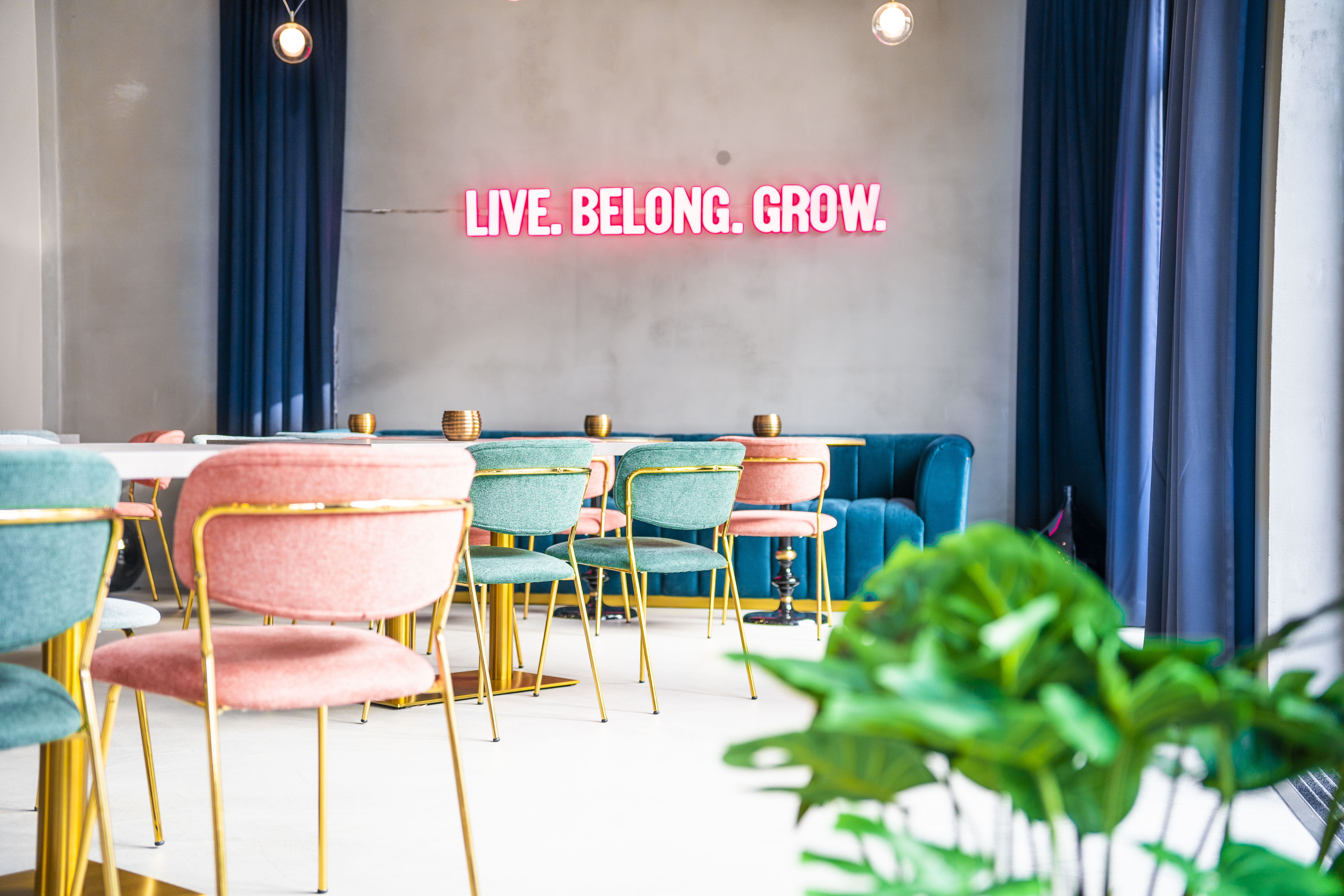 Live. Belong- Grow. – The Base Coliving Berlin
