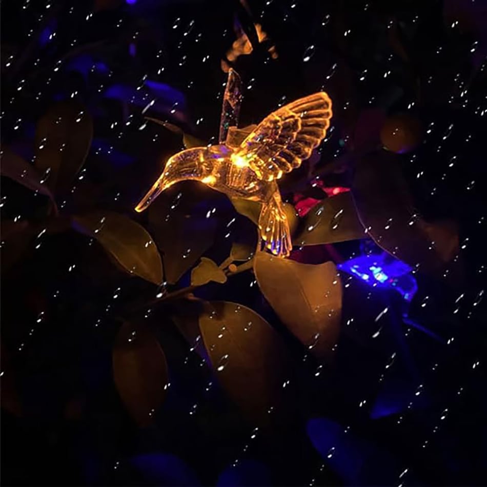 Solar powered bird lights on sale