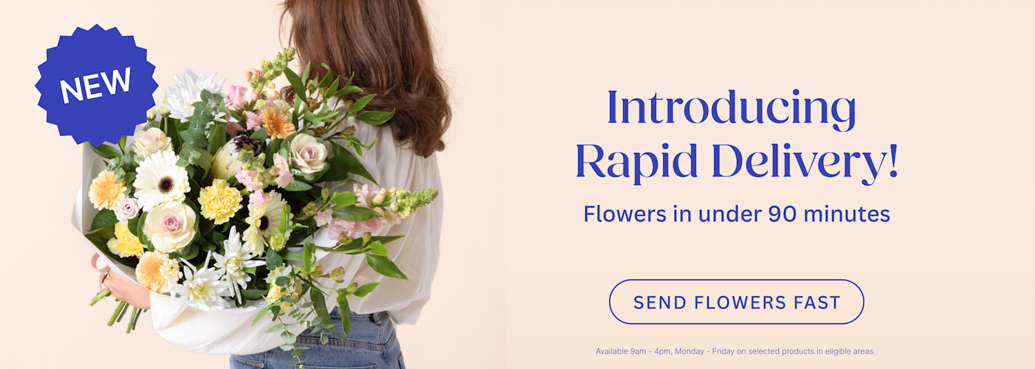 Rapid Delivery