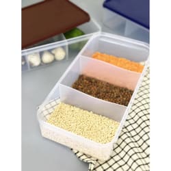 Refrigerator Storage Box 4 Grid Food Vegetable Fruit Storage Box