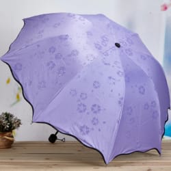 Umbrella - Magic Print - Assorted - Single Piece