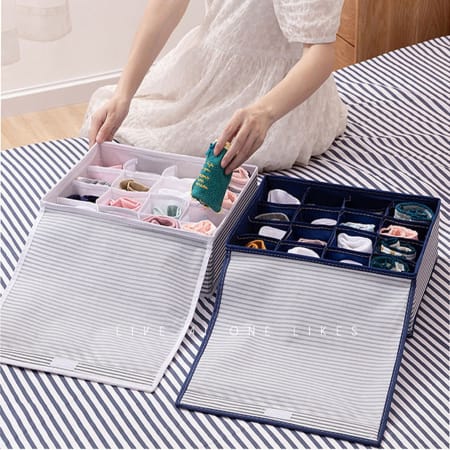 underwear organizer for panties and socks, singular.