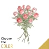 11 Roses Long Stem Online