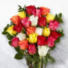 24 Mixed Roses in a bunch Online