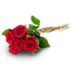 5 red roses Online