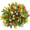 50 colourful tulips Online