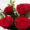 Buy 6 Red Roses Hand-tied