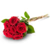 7 red roses Online