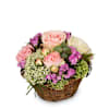 A Basket full of Poetry with Roses Online